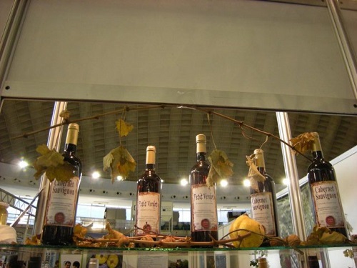 Popovića vinogradi 5